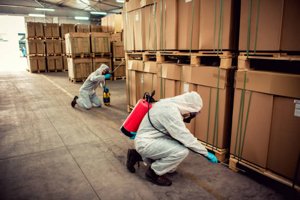Flea Control Services in Glen Gardner, NJ
