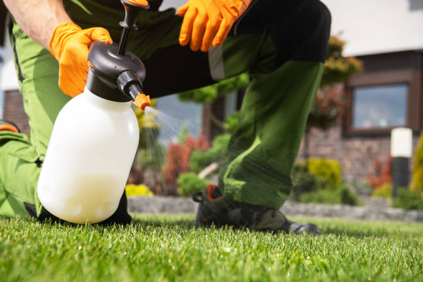 Best Ant Control Services  in Glen Gardner, NJ