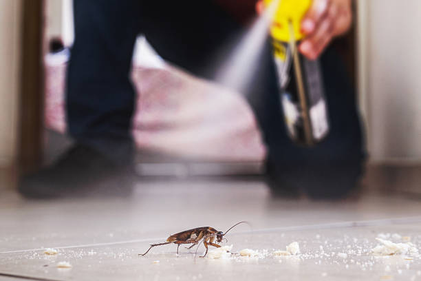 Insect Control in Glen Gardner, NJ