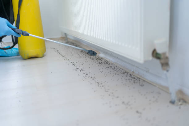 Best Best Pest Control Companies  in Glen Gardner, NJ