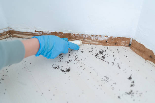 Best Residential Pest Control  in Glen Gardner, NJ