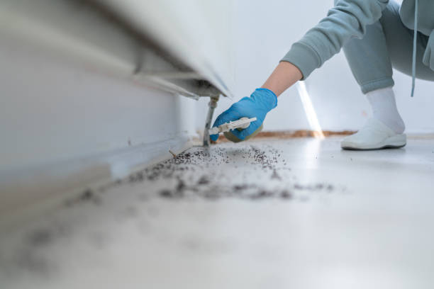 Best Spider Control Near Me  in Glen Gardner, NJ