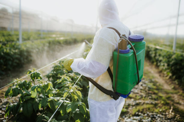 Best Exterminator Services  in Glen Gardner, NJ